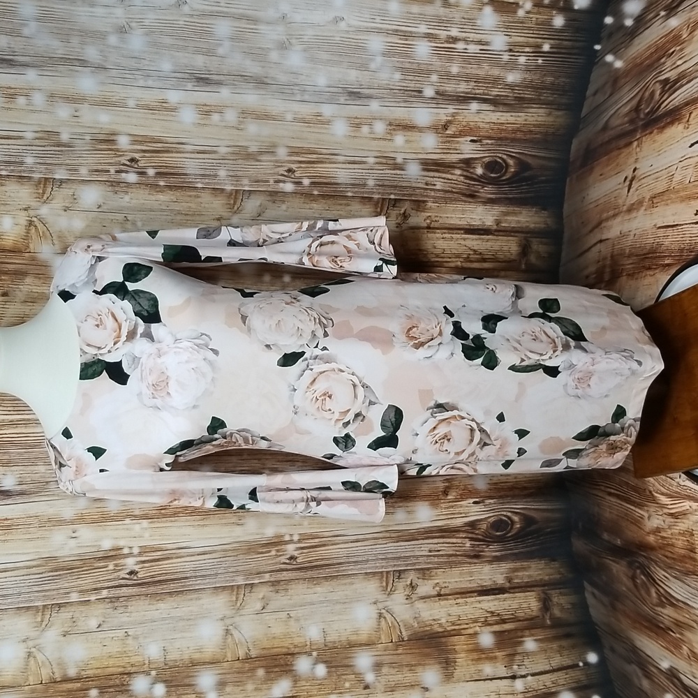 Calvin Klein Light Pink Floral Print Women's Sz. 4 3/4 Sleeve Zip-Up Dress